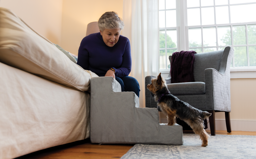 Human helping dog up to sofa using a moveable staircase