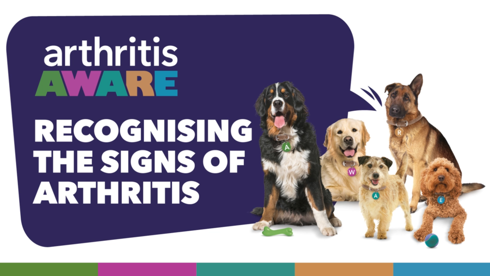 Arthritis aware - recognising the signs of arthritis